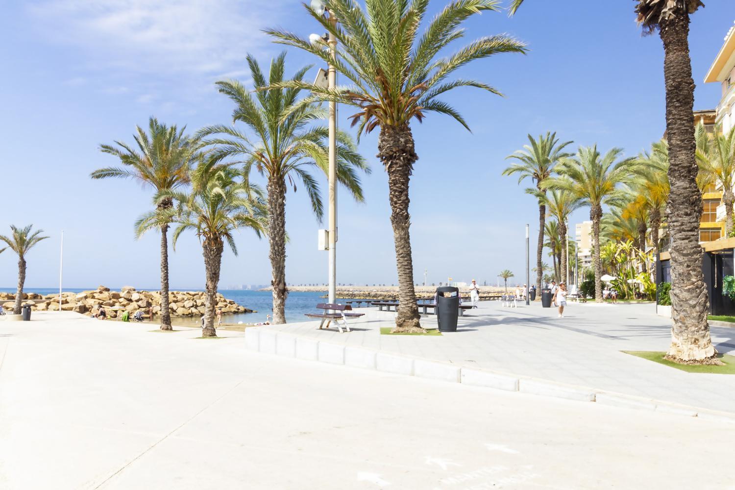 Apartamento Pink SUNBIRDS-Playa del Cura Torrevieja Exterior foto